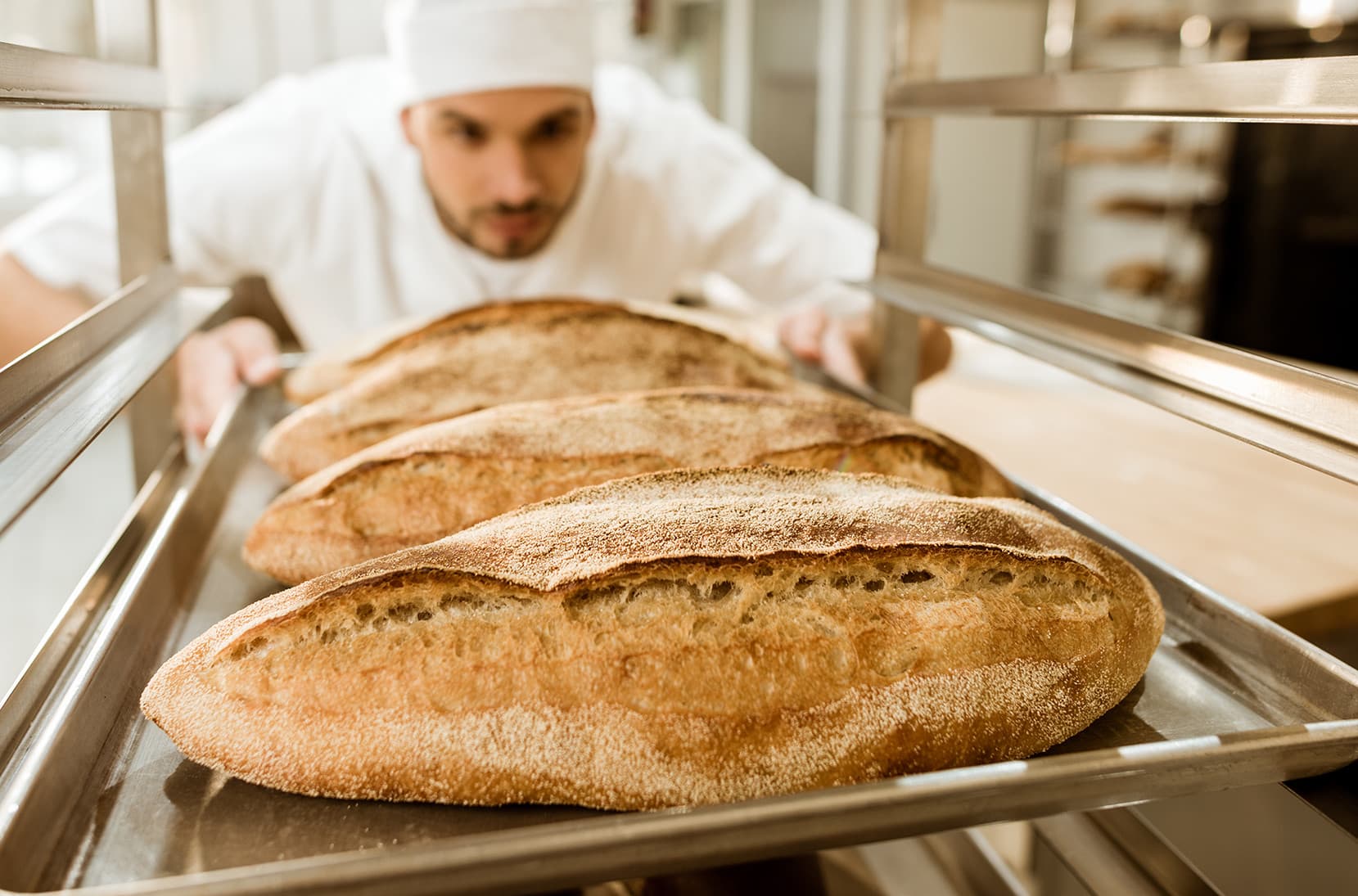 Ingredienti, impasti e processi di lievitazione
